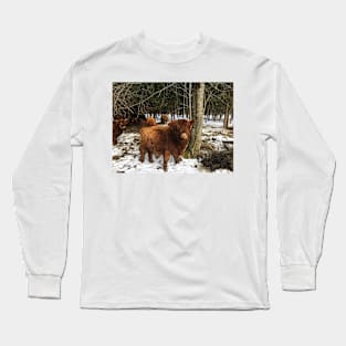 Scottish Highland Cattle Calf 1960 Long Sleeve T-Shirt